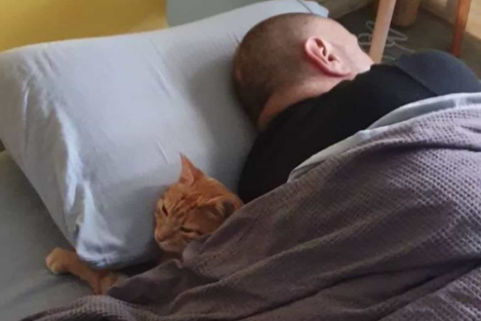 Tiger sleeps in neighbor's bed