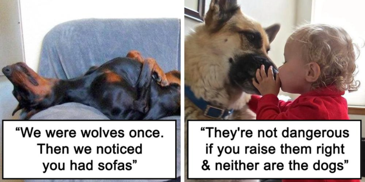 30 Heartwarming Tweets Celebrating Dogs as Man’s Loyal Companions