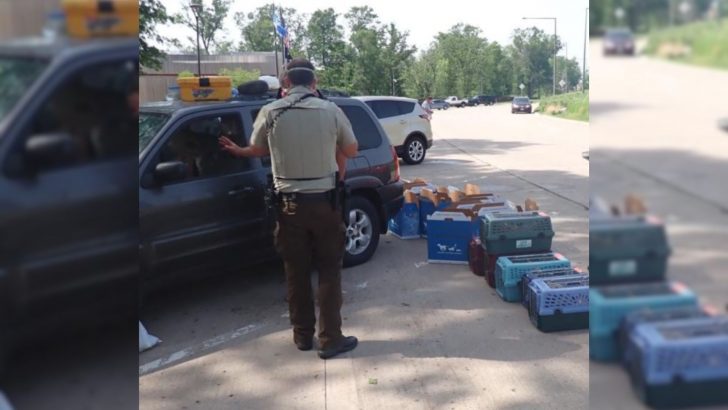 What These Rescuers Found In A Car On A Scorching Summer Day Will Break Your Heart