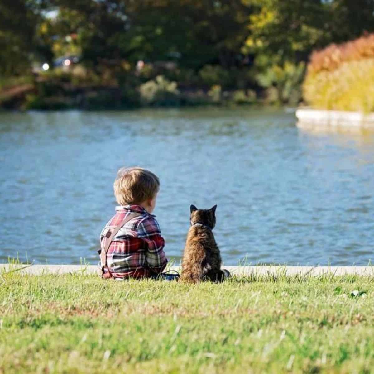 a boy and a cat are sitting on the shore by the lake