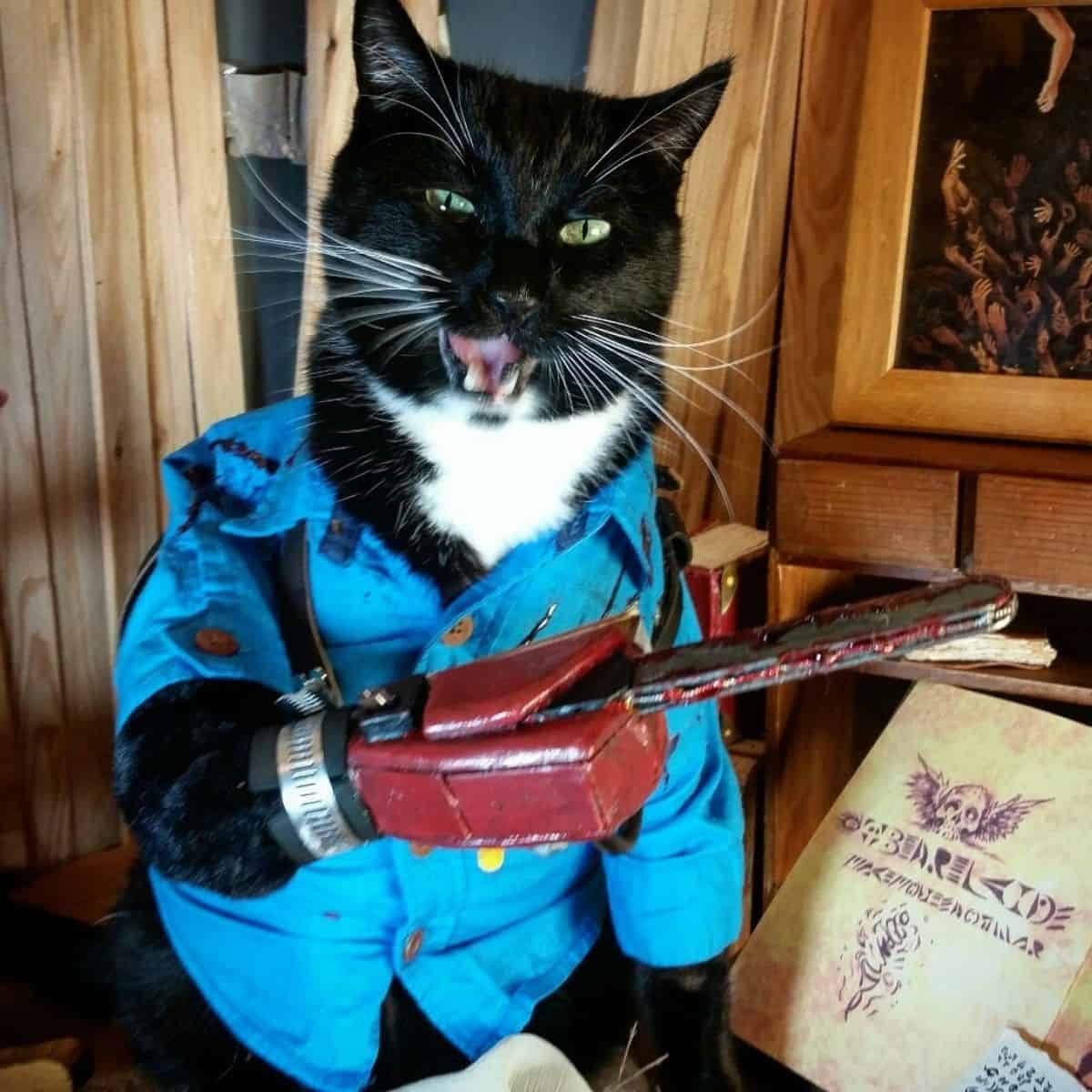 a cat with a motorcycle mask on its paws