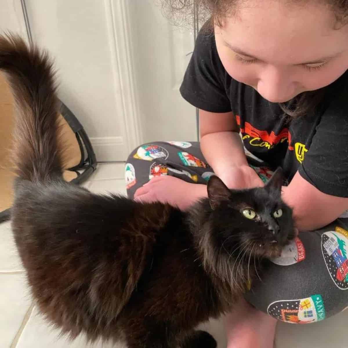 a little girl is sitting on the floor and petting a cat