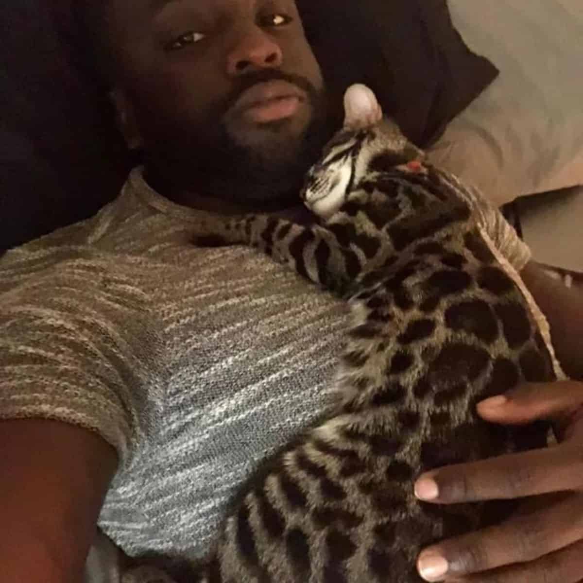 a tabby cat lies on a man's chest