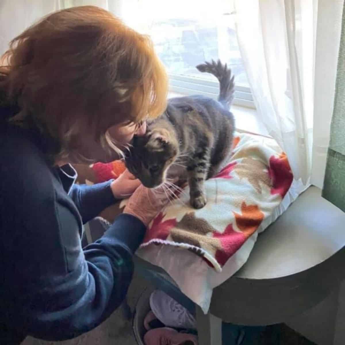 an old lady is petting a cat