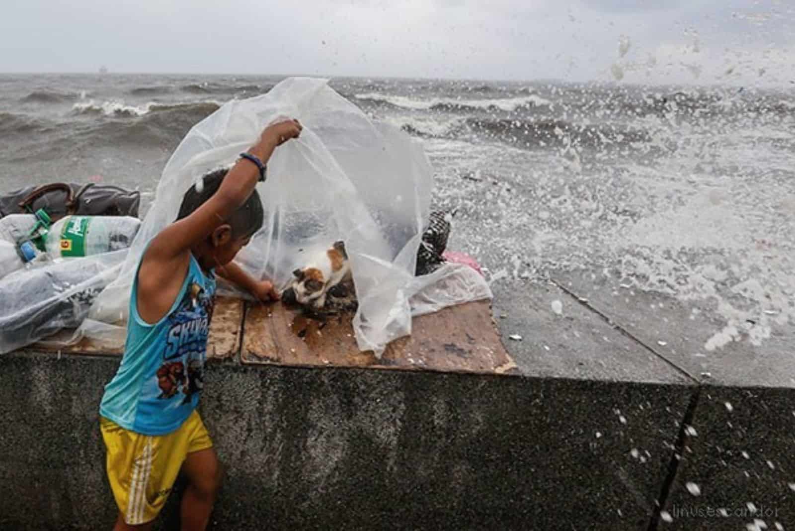 boy protecting cat in labor with big waves in background