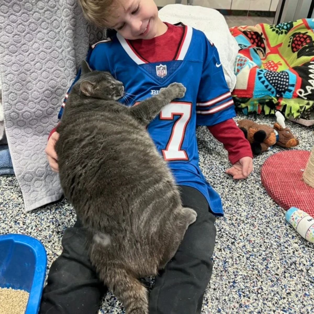 cat hugging a boy