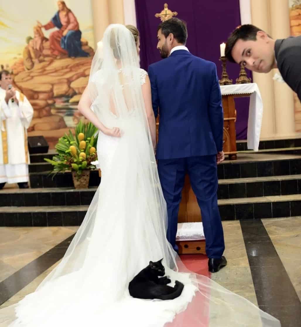 cat lying on bride's wedding gown