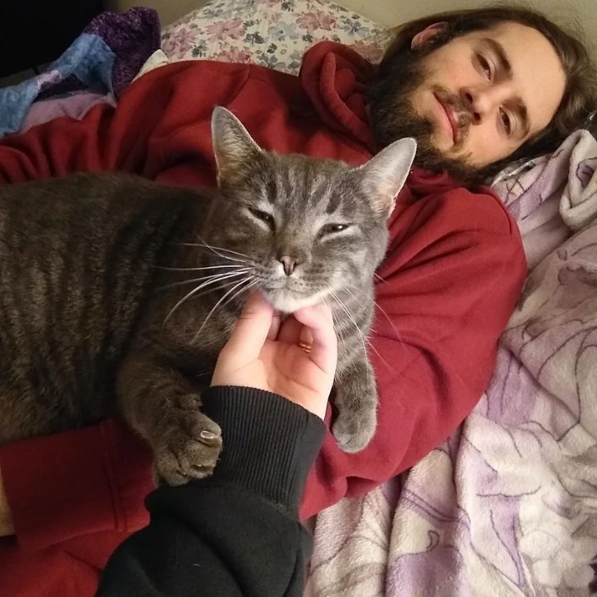 cat lying on man