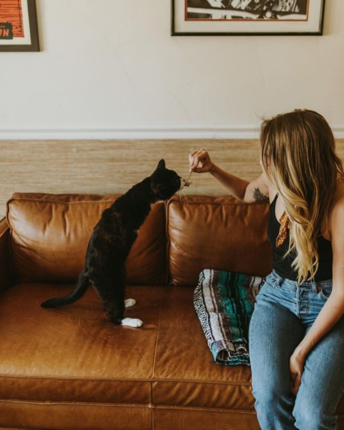 cat on couch with woman