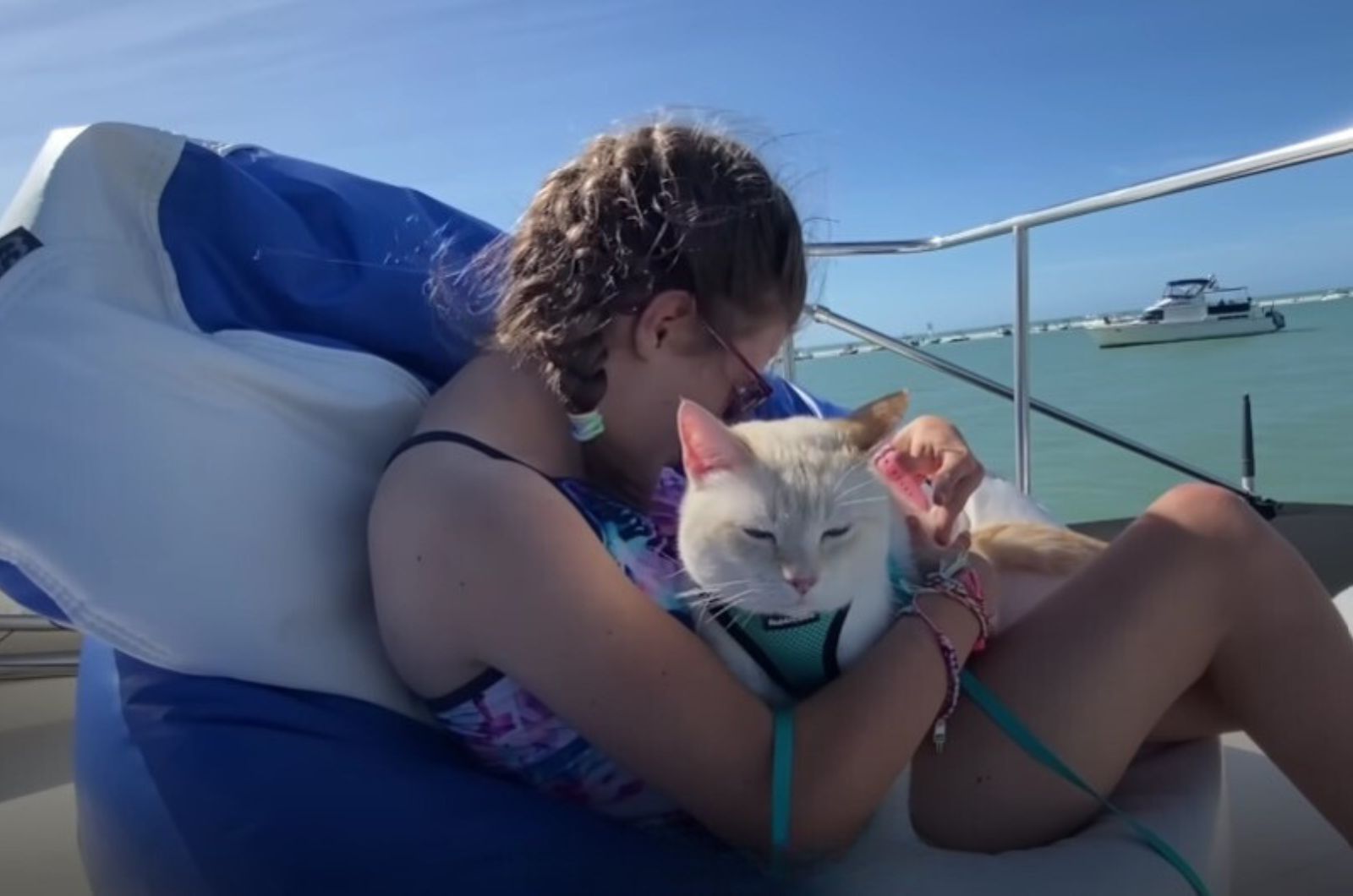 cat-sitting-on-girls-lap