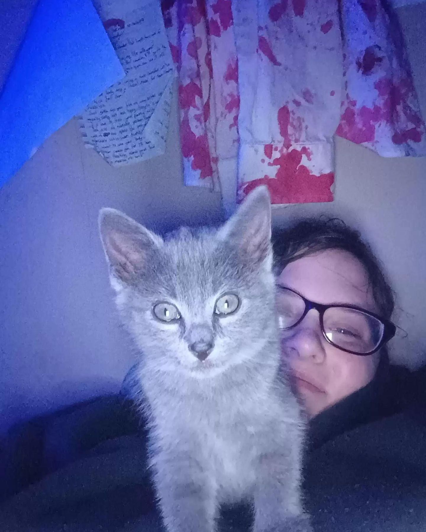 cat sitting on woman's chest