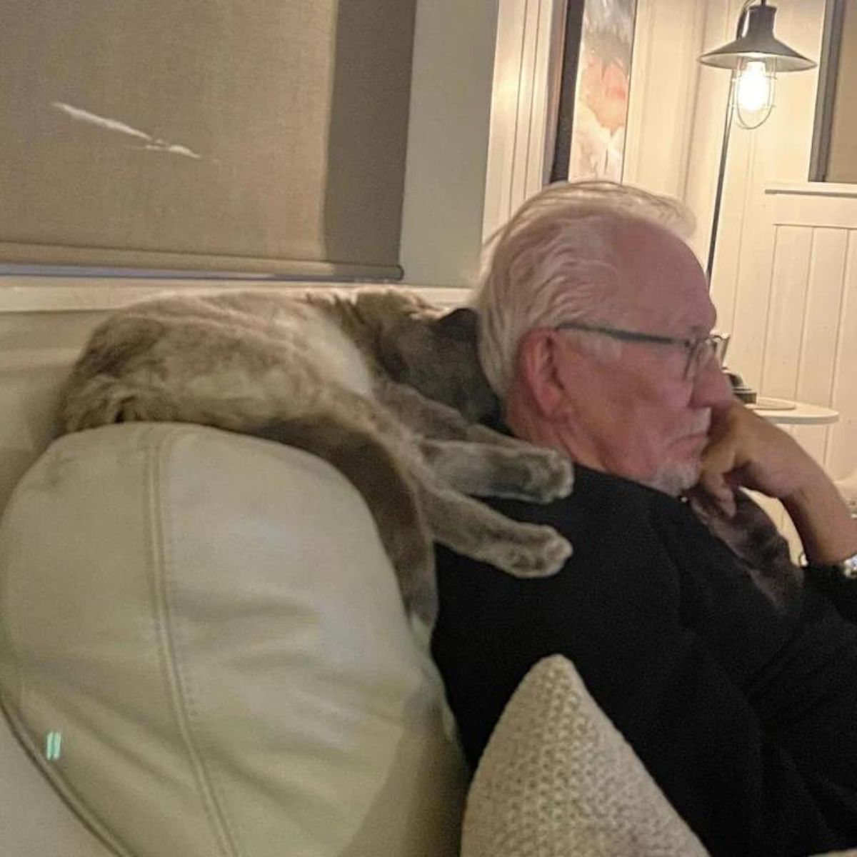 cat sleeping next to a man