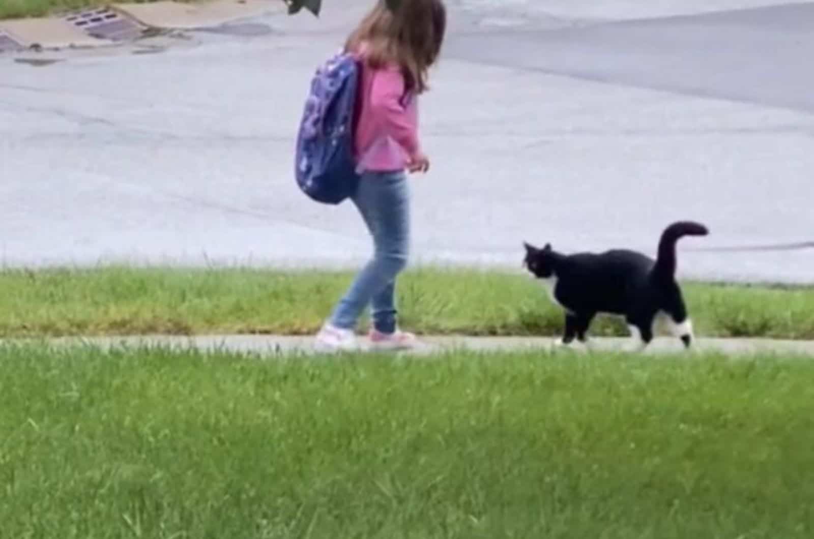 cat walking up to a little girl