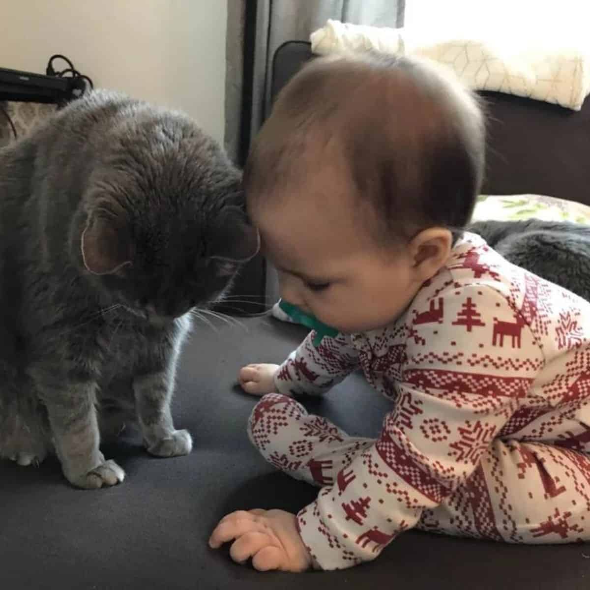 child and cat side by side with lowered heads