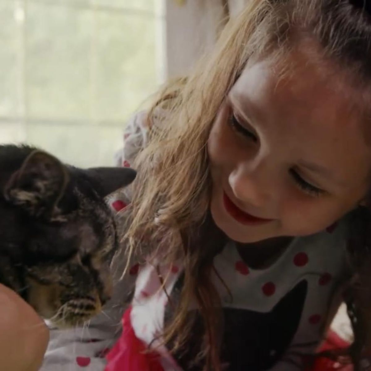 close-up photo of girl and a cat