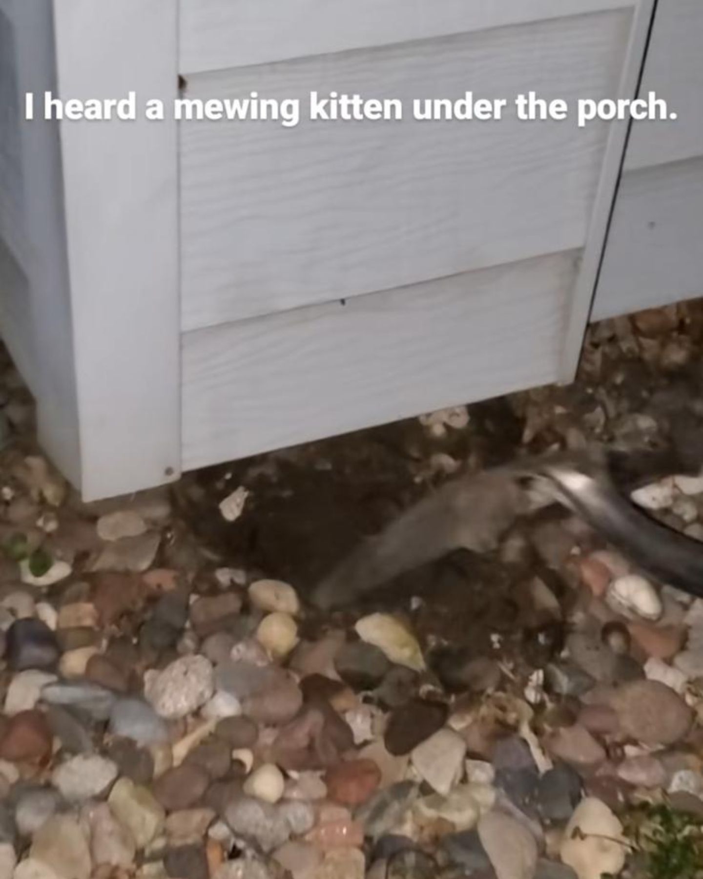 digging under porch