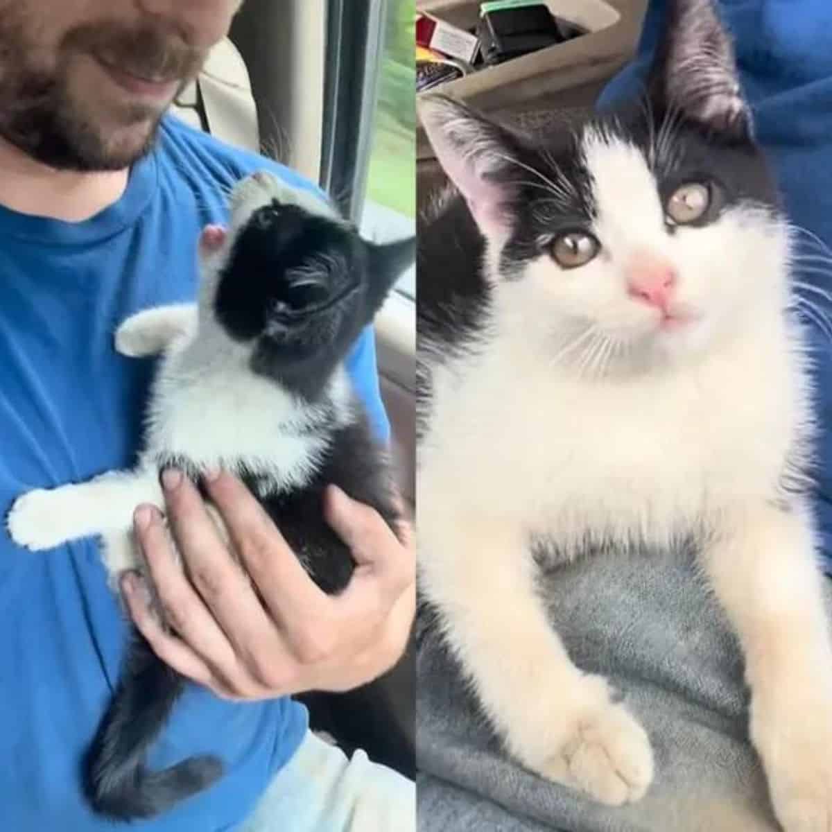 guy holding a cat