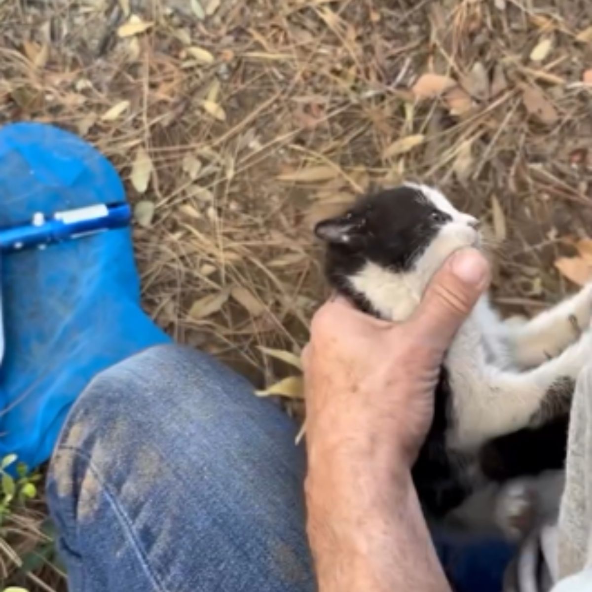 guy holding a kitten