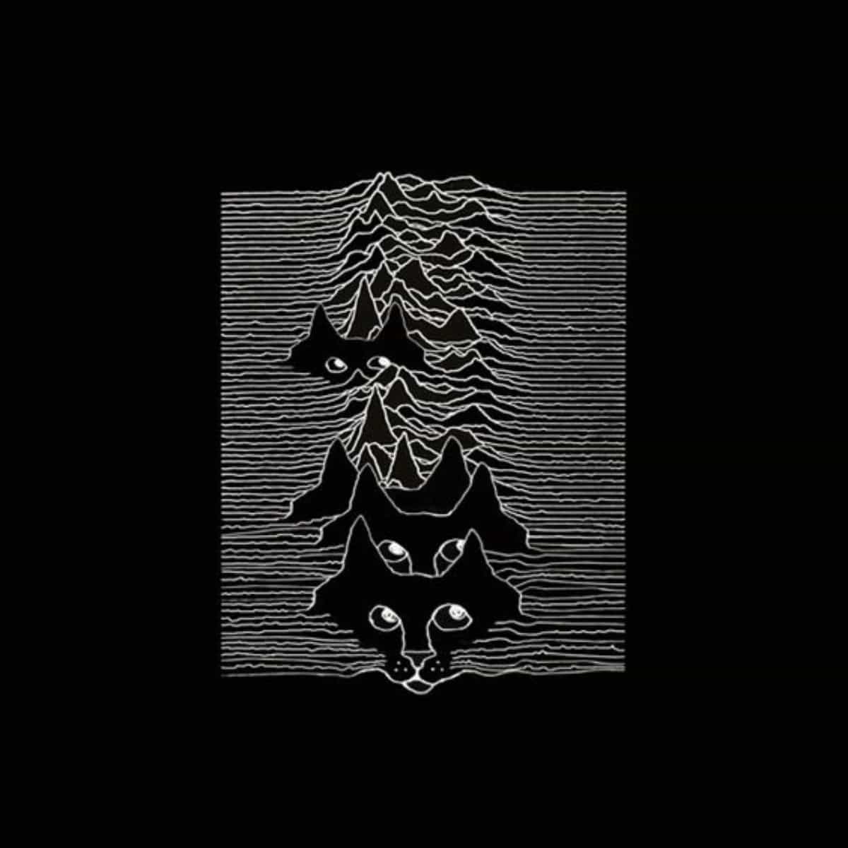 joy division in cat version