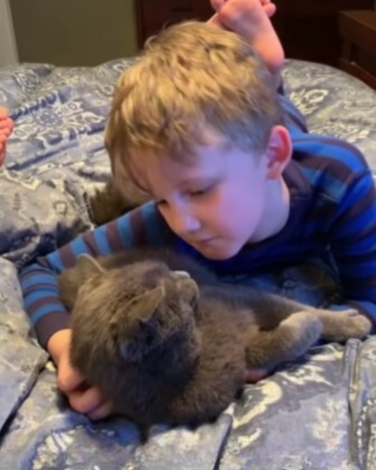 kid and cat