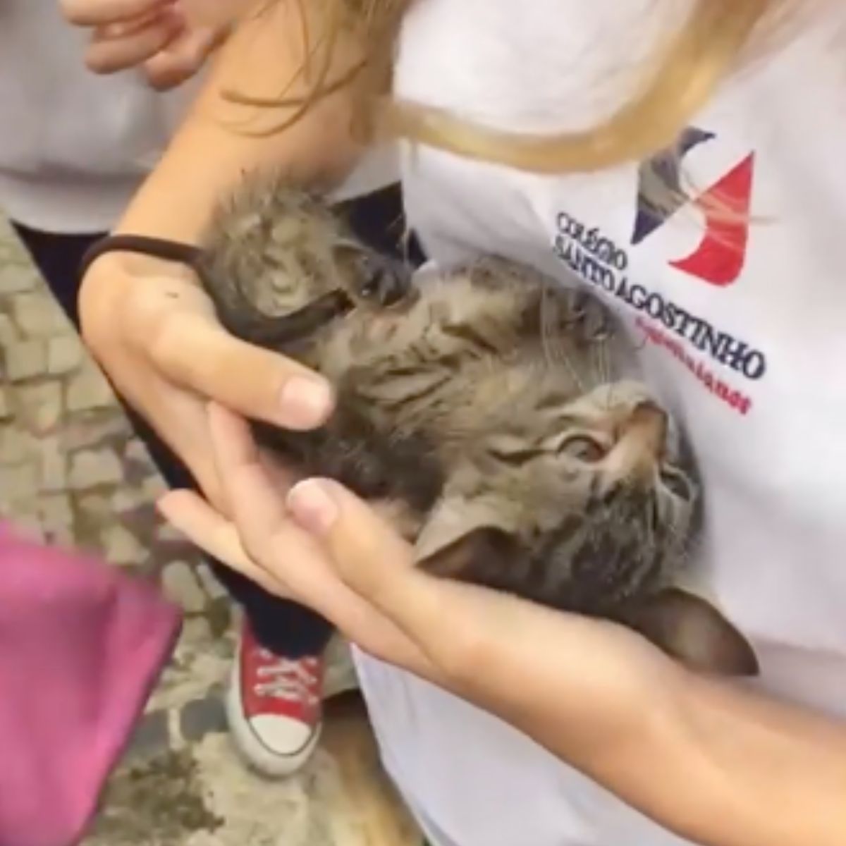 kid holding a kitten