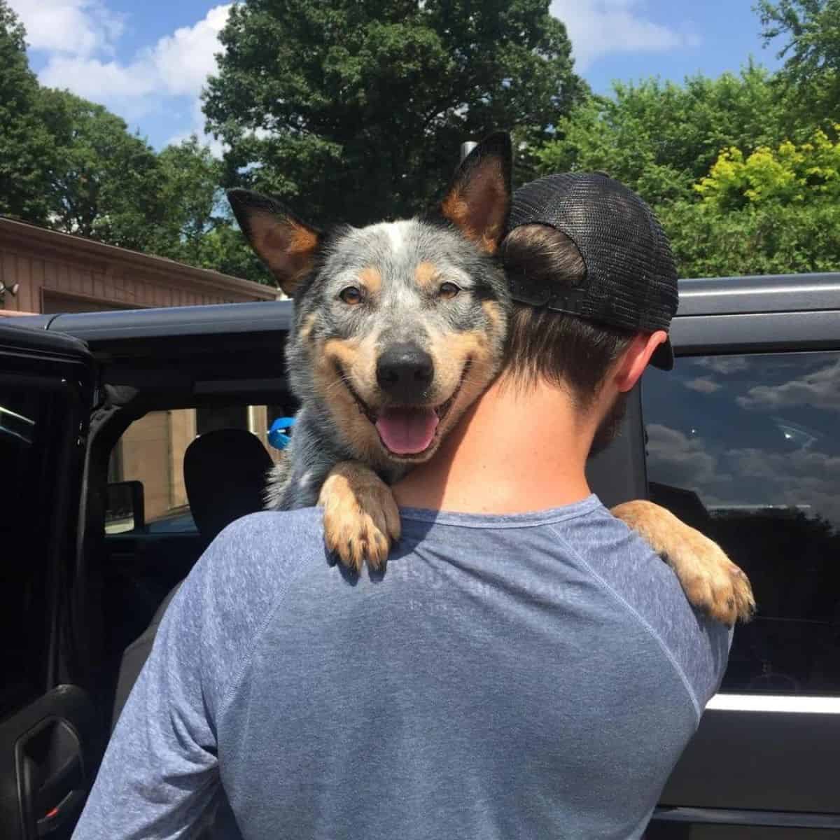 man carrying a dog