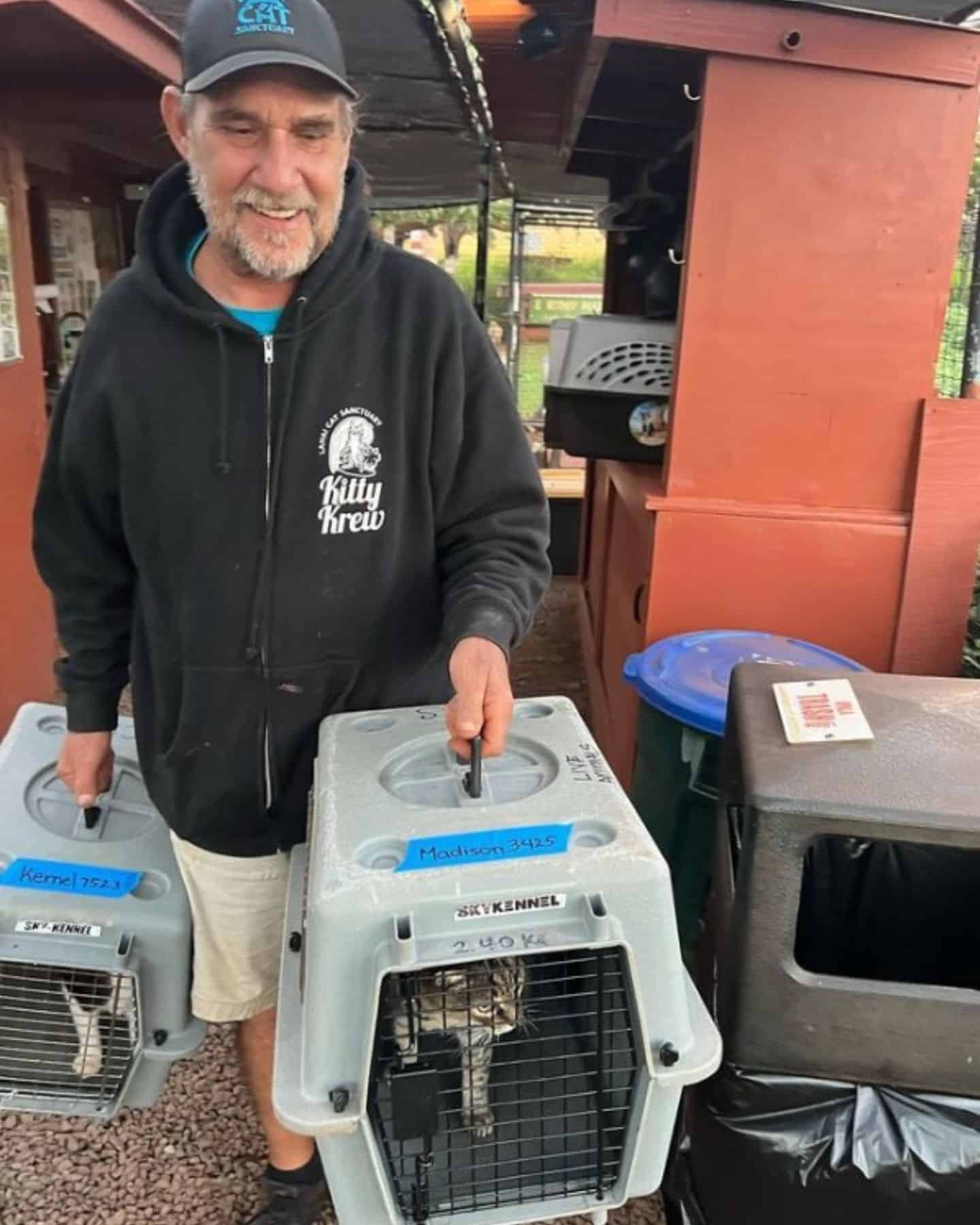 man carrying cats in a kennel