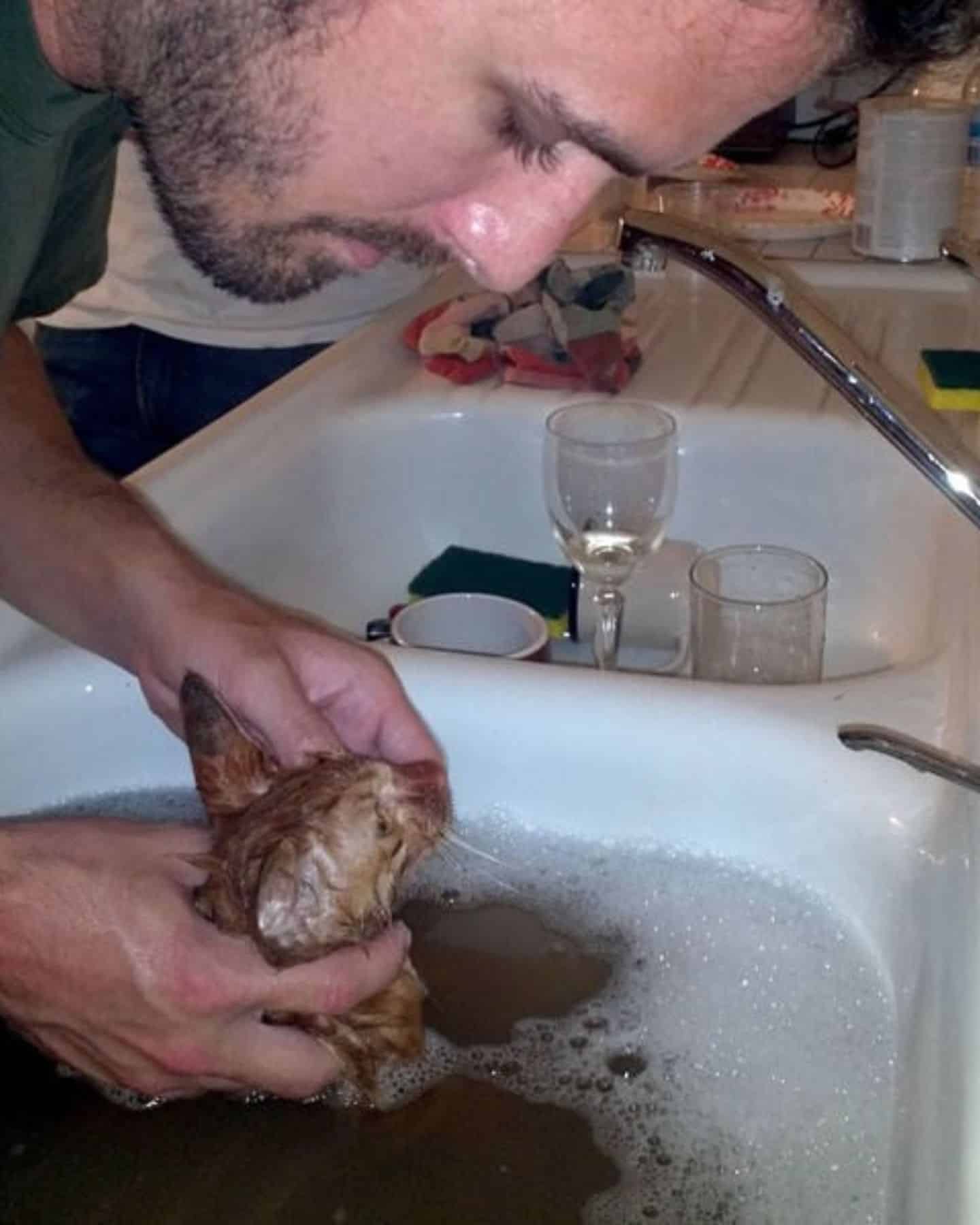 man giving kitten a bath