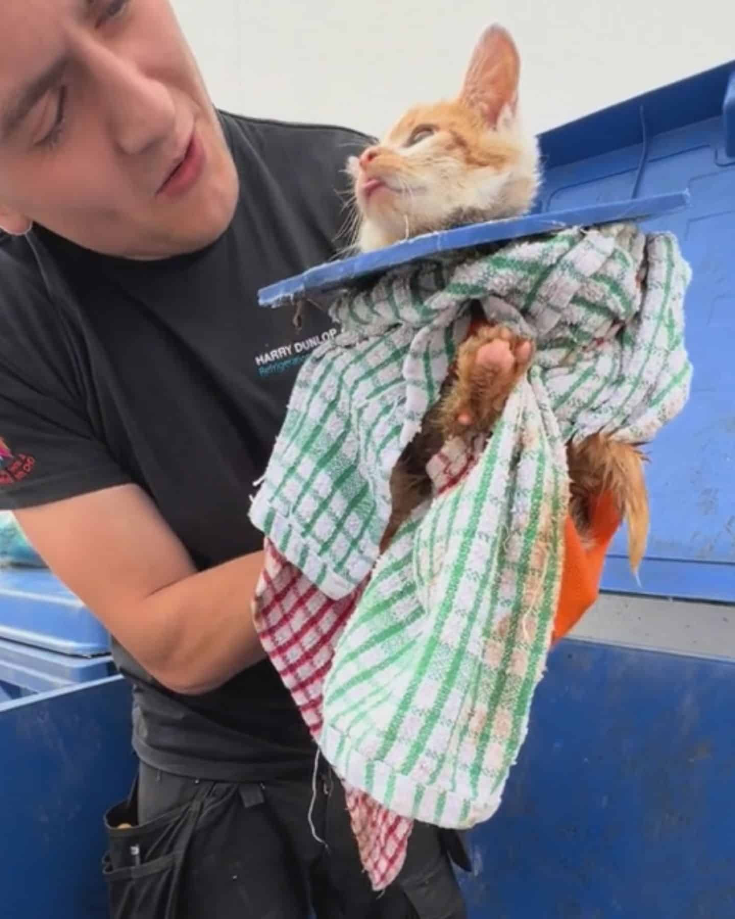 man helping the kitten