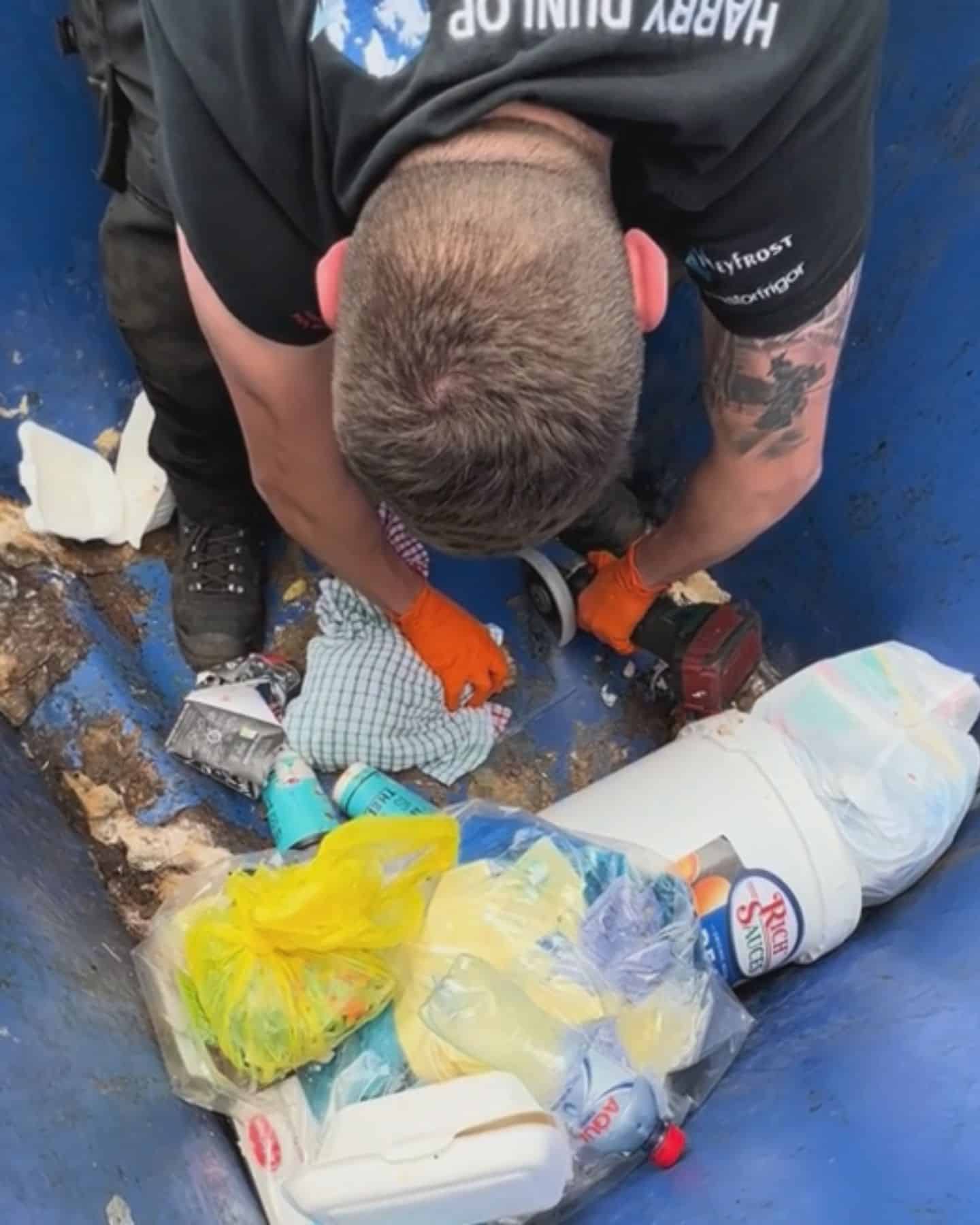 man in dumpster helping the kitten