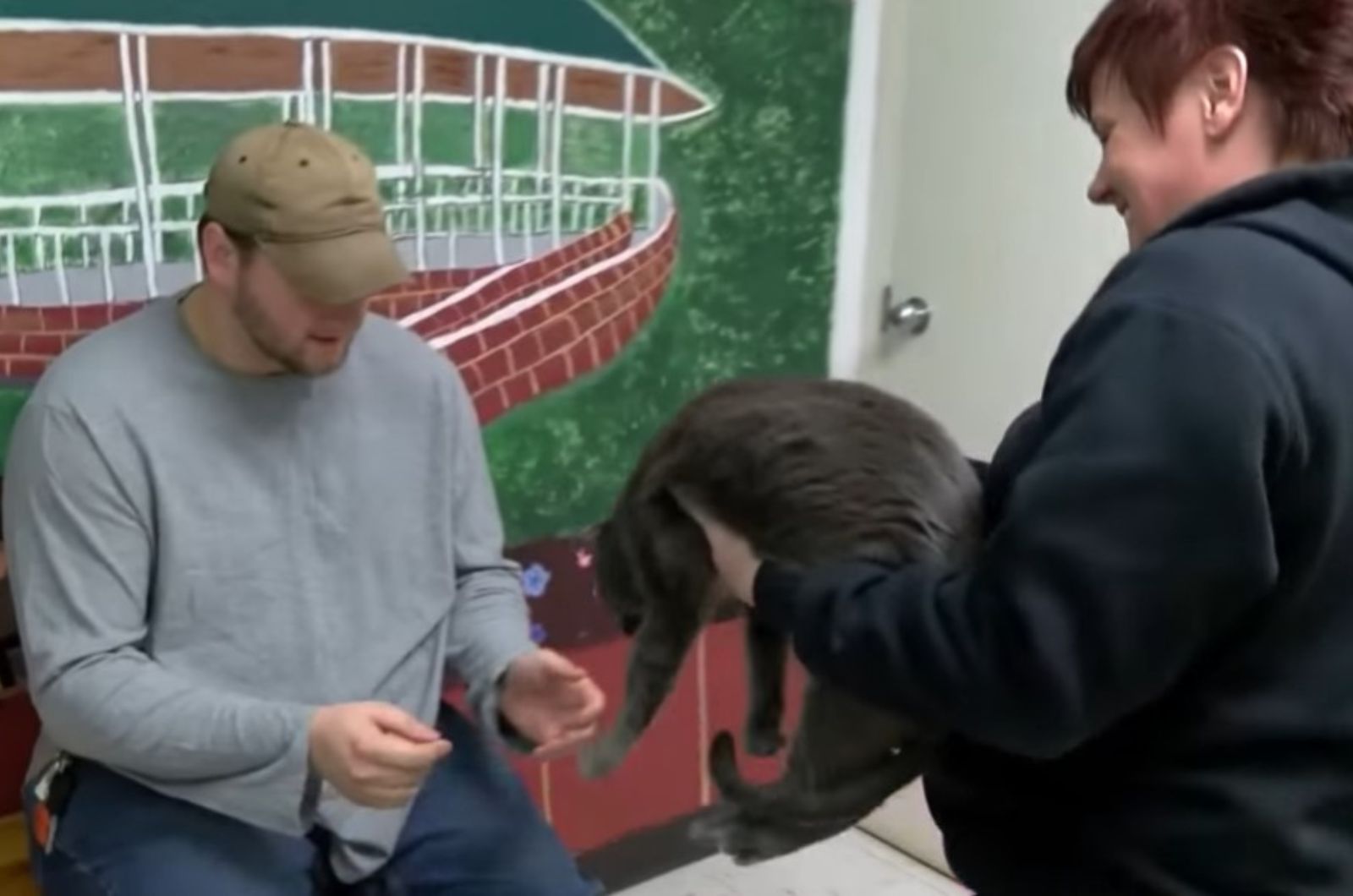 man playing with cat