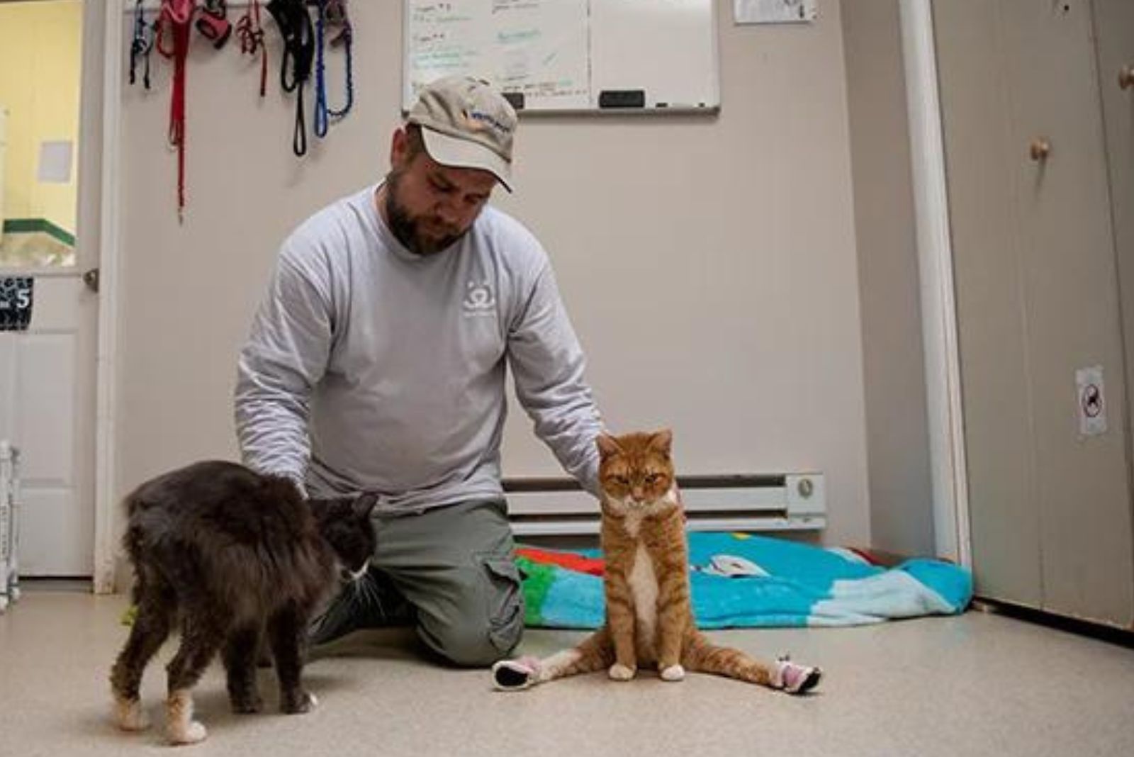 man sitting on the floor with two cats