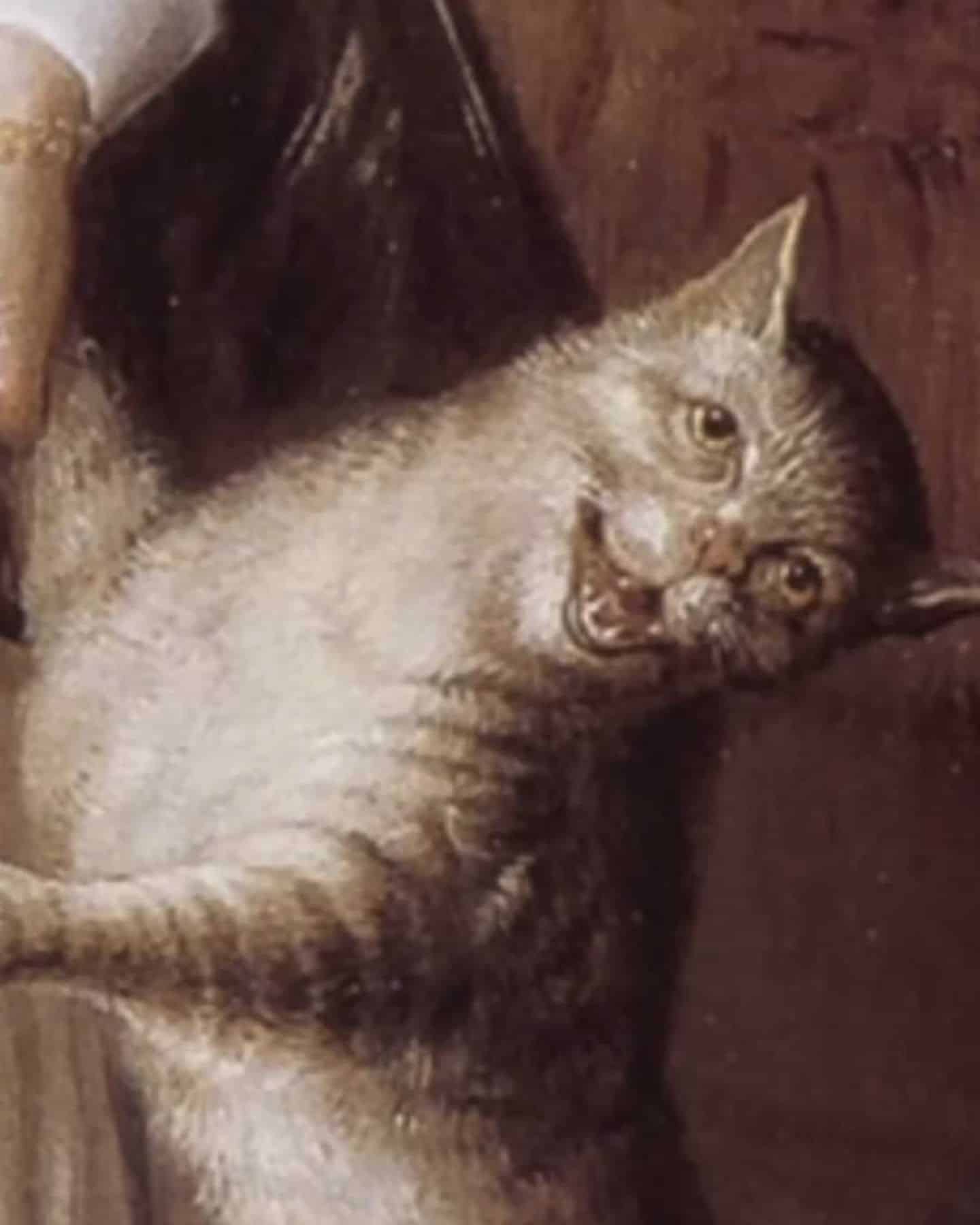 medieval cat leaning to the side