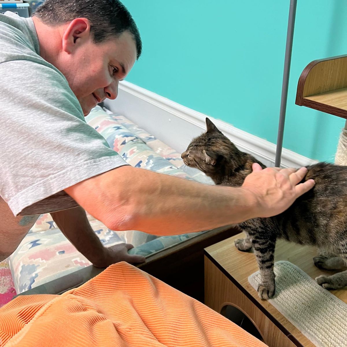 owner petting his cat