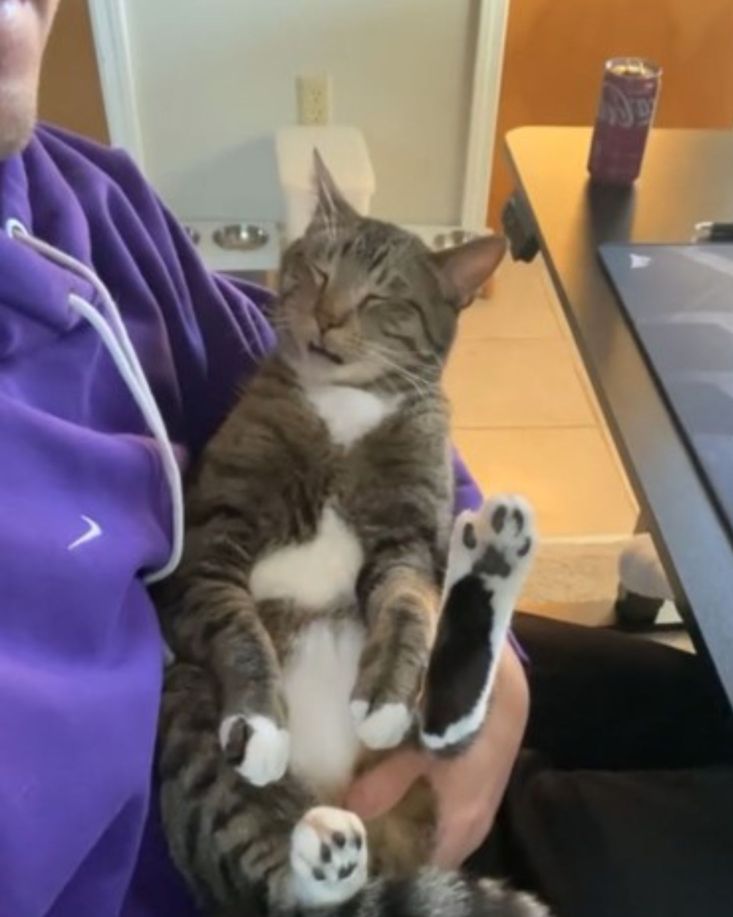 owner with purple hoodie holding a cat