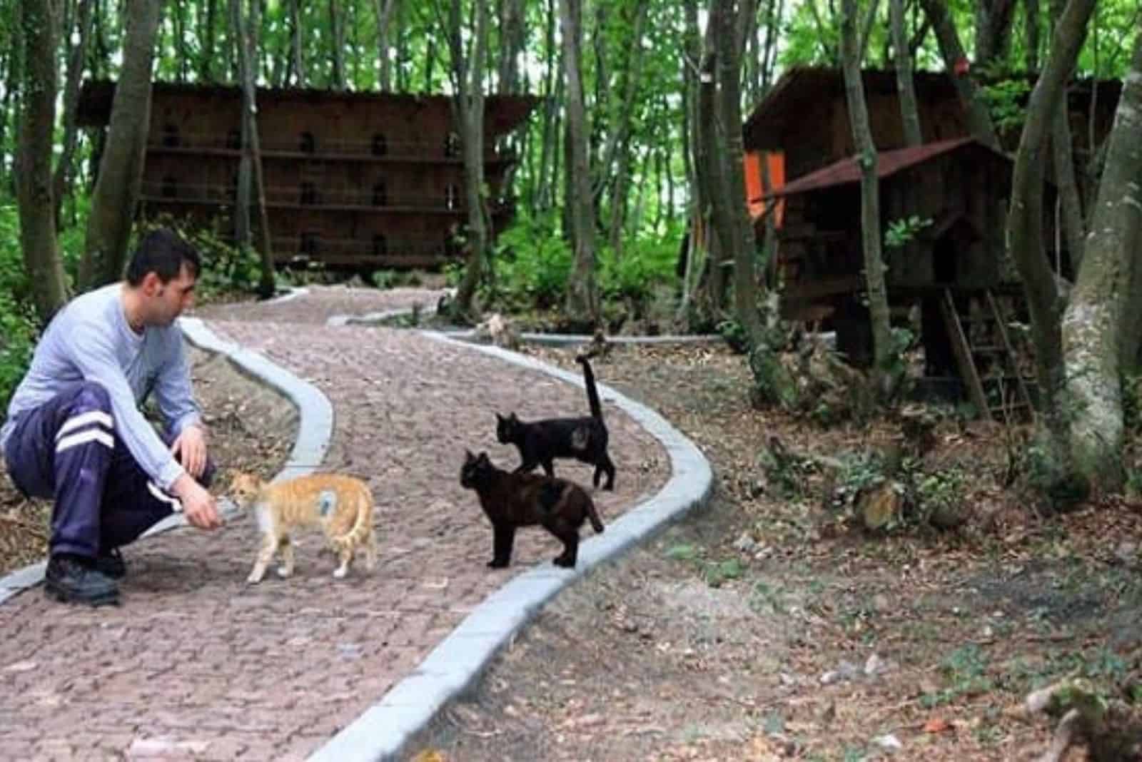 photo of a man and three cats in a shelter