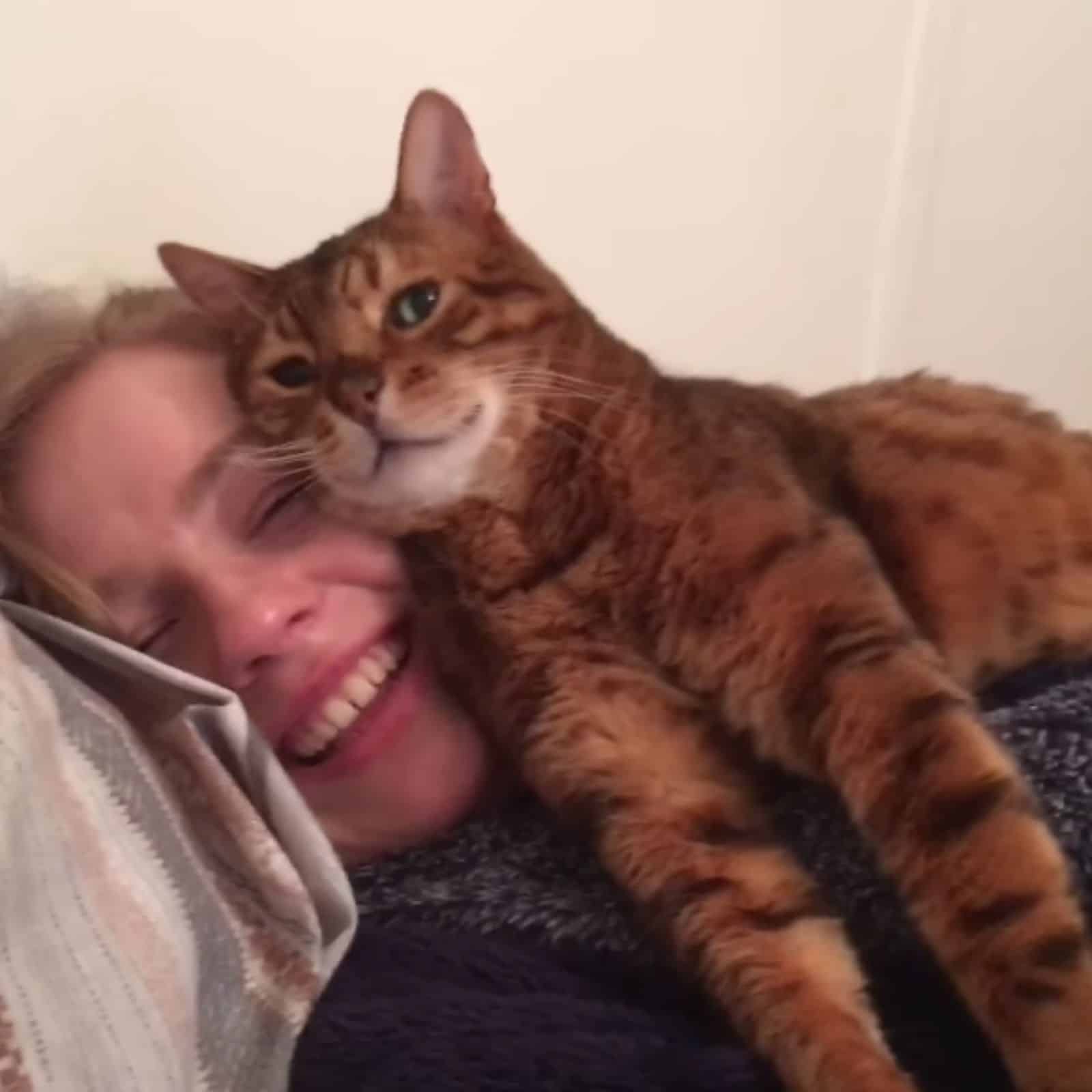 photo of cat lying on woman's head