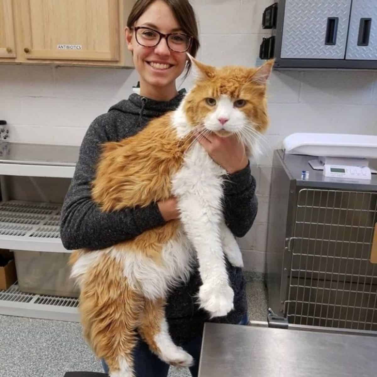 photo of woman holding giant cat