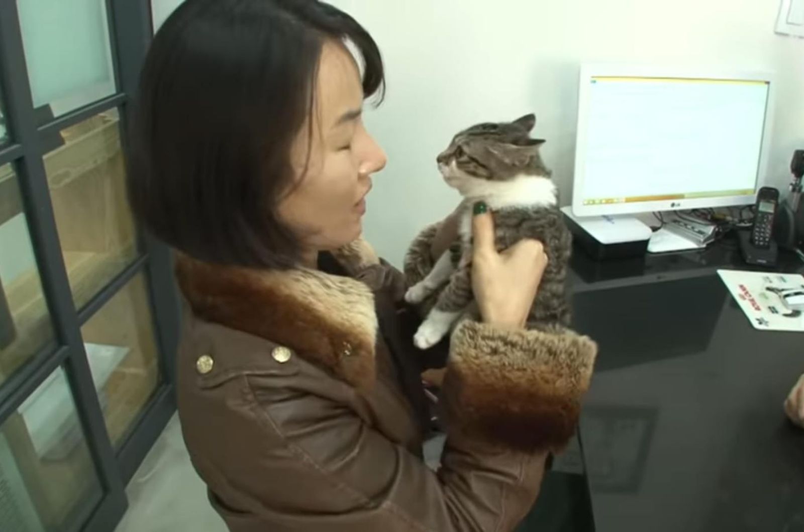 photo of woman holding the kitten