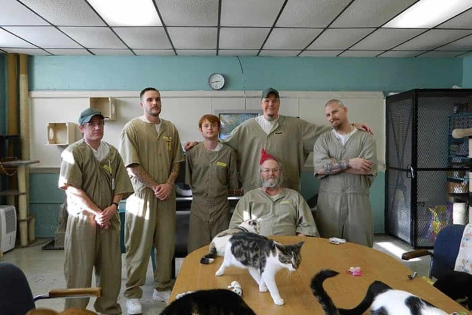 six people standing and two cat walking