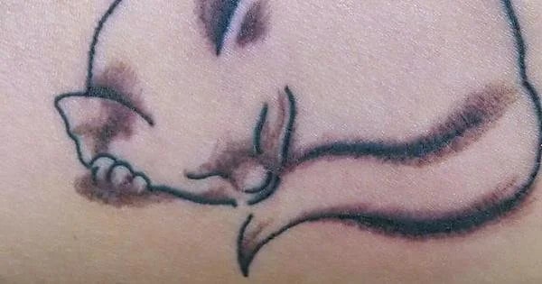 sleeping cat tattoo