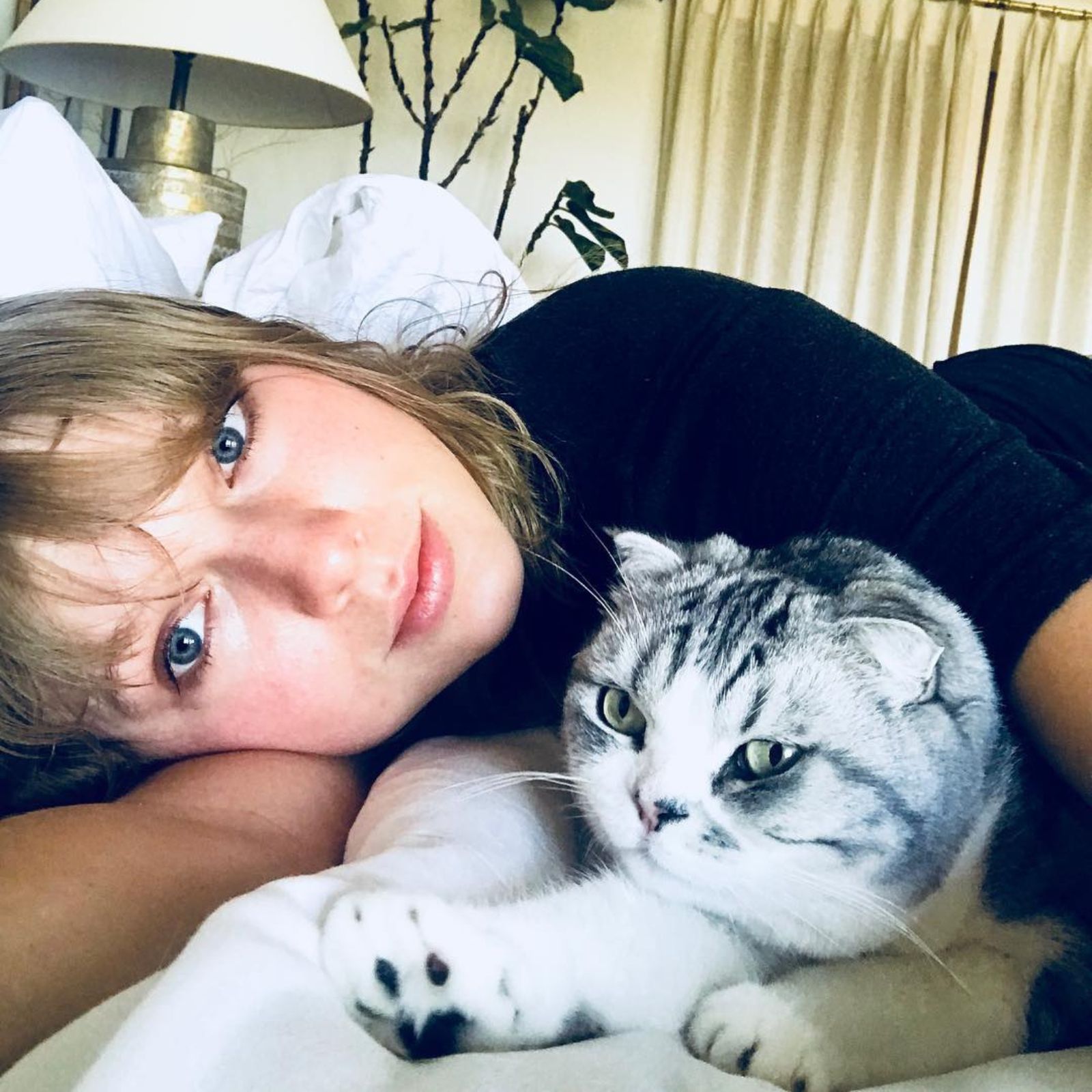 taylor swift lying with her cat