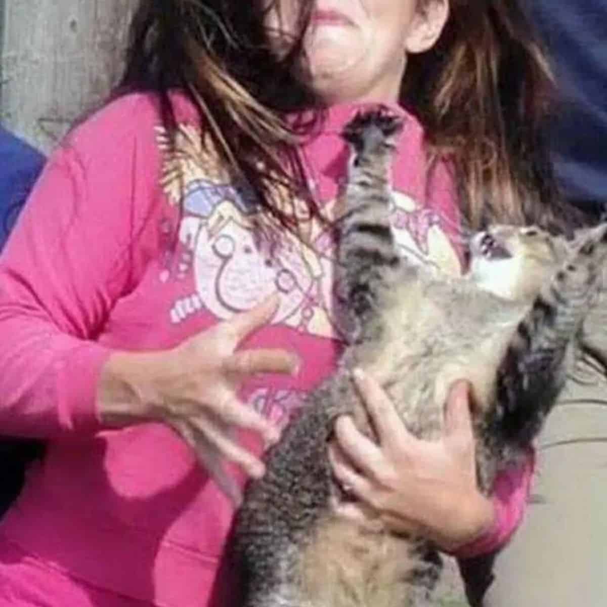 the cat tries to scratch the little girl who is defending herself