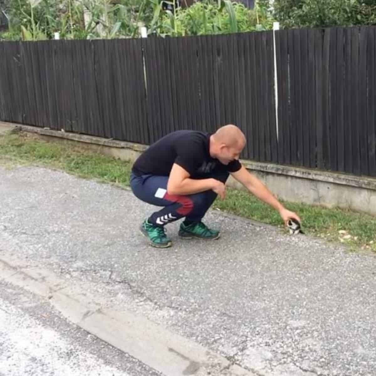 the kitten runs towards the male rescuer