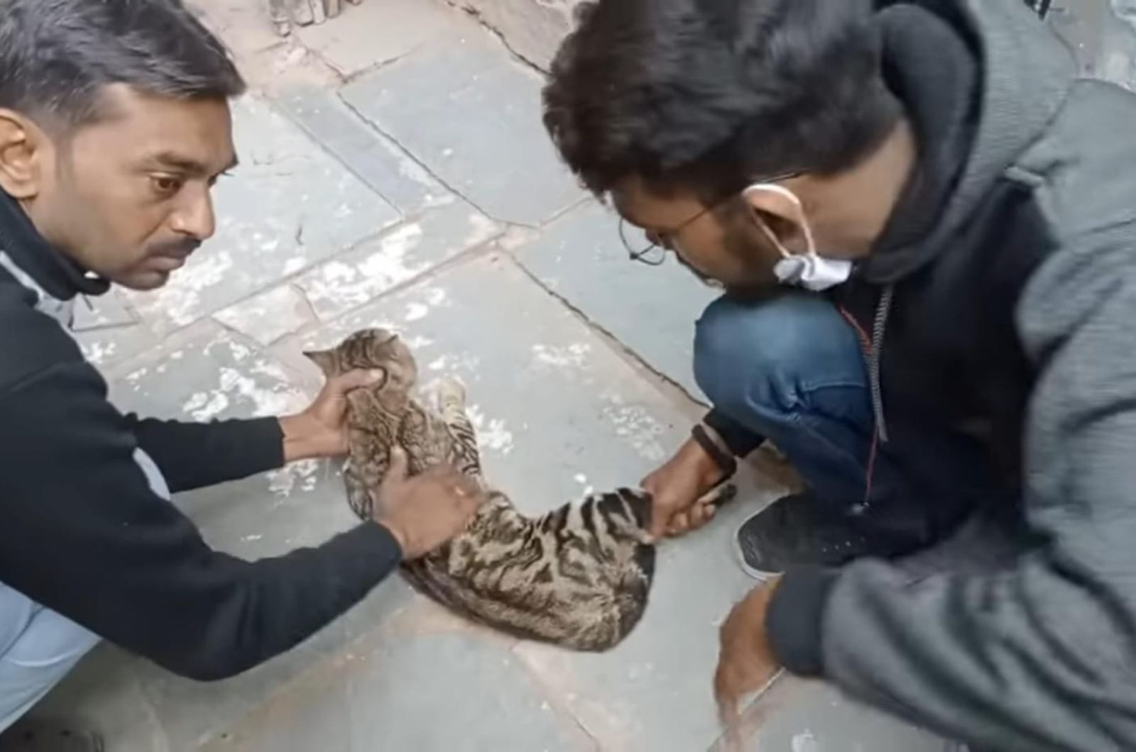 two men holding the cat