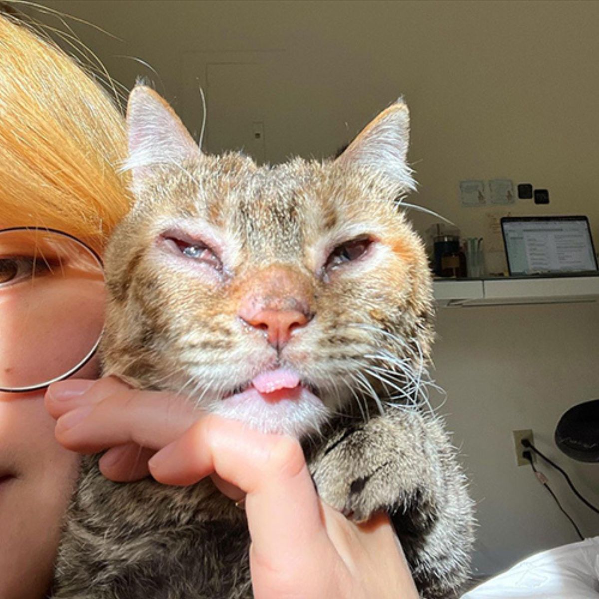 woman and cat with special needs