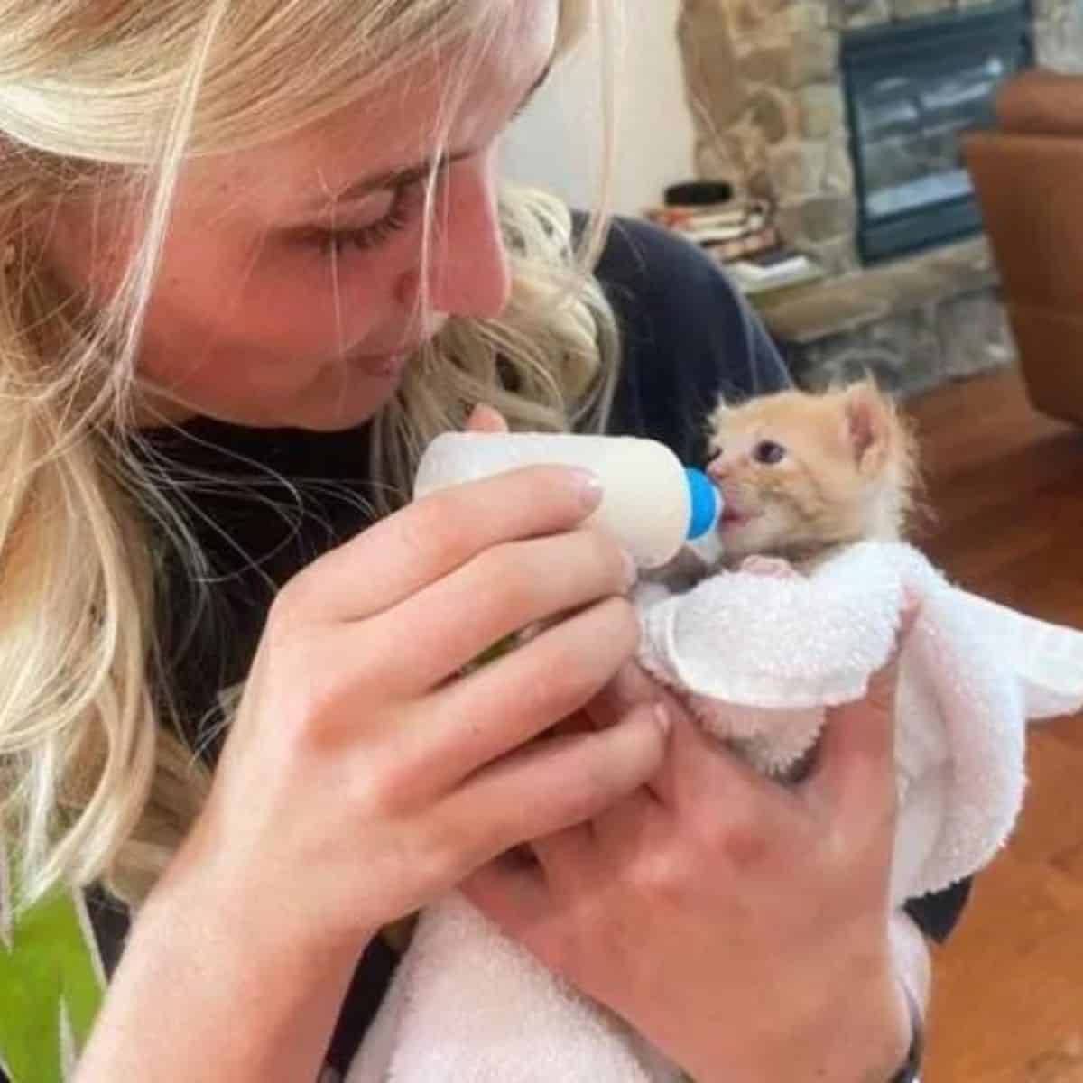 woman bottle feeding the kitten