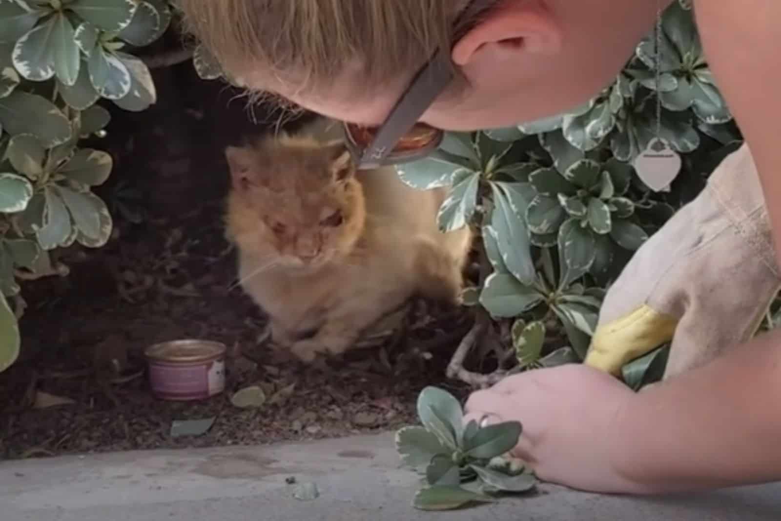 woman checking injured cat