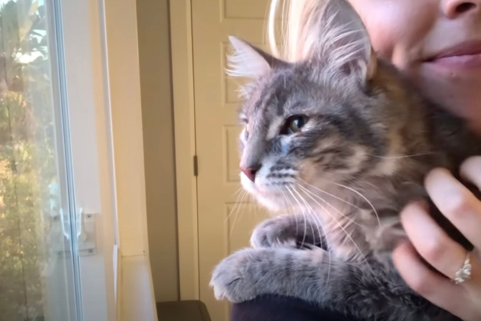 woman cuddling cat