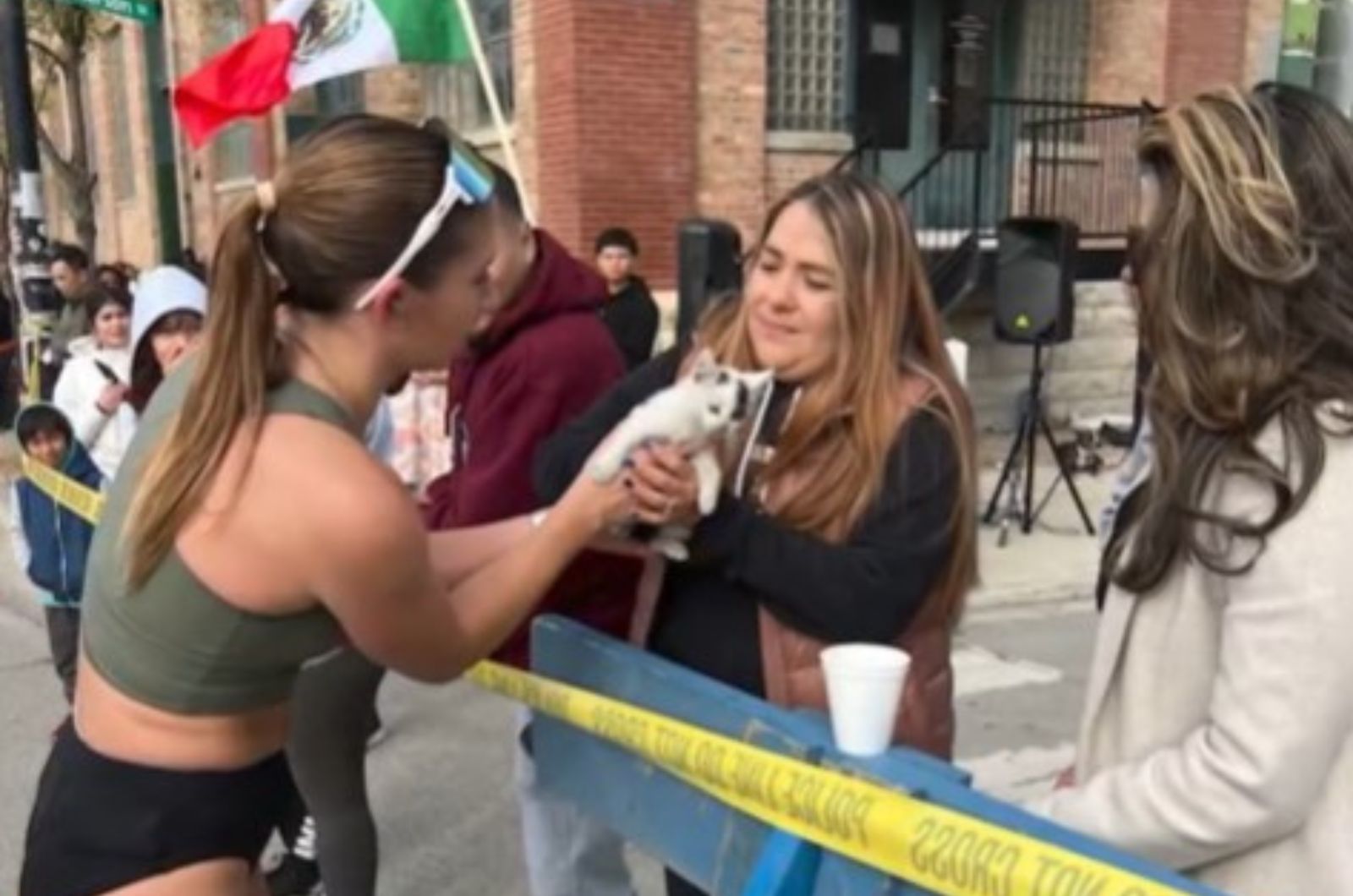 woman giving a cat to another woman